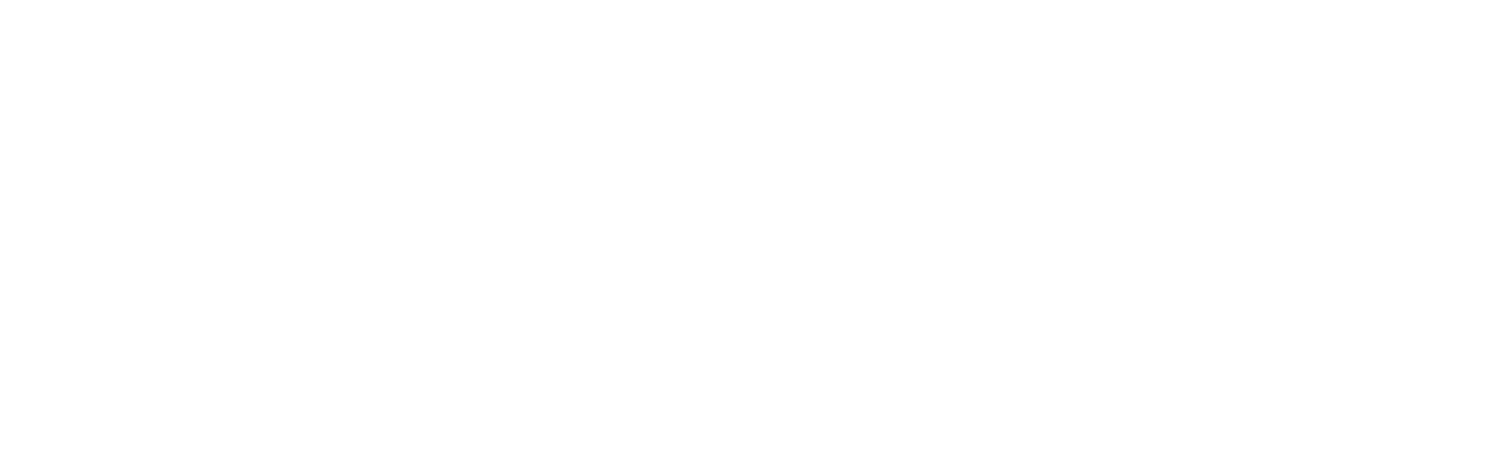 Smart True Studio